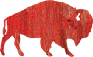 Red Buffalo